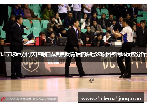 辽宁球迷为何失控明白裁判判罚背后的深层次原因与情感反应分析 辽宁球迷为何失控明白裁判判罚背后的深层次原因与情感反应分析